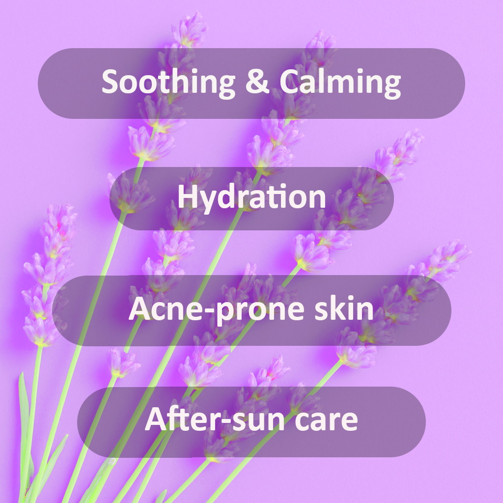 Lavender Hydrosol Lavender Water 8 oz